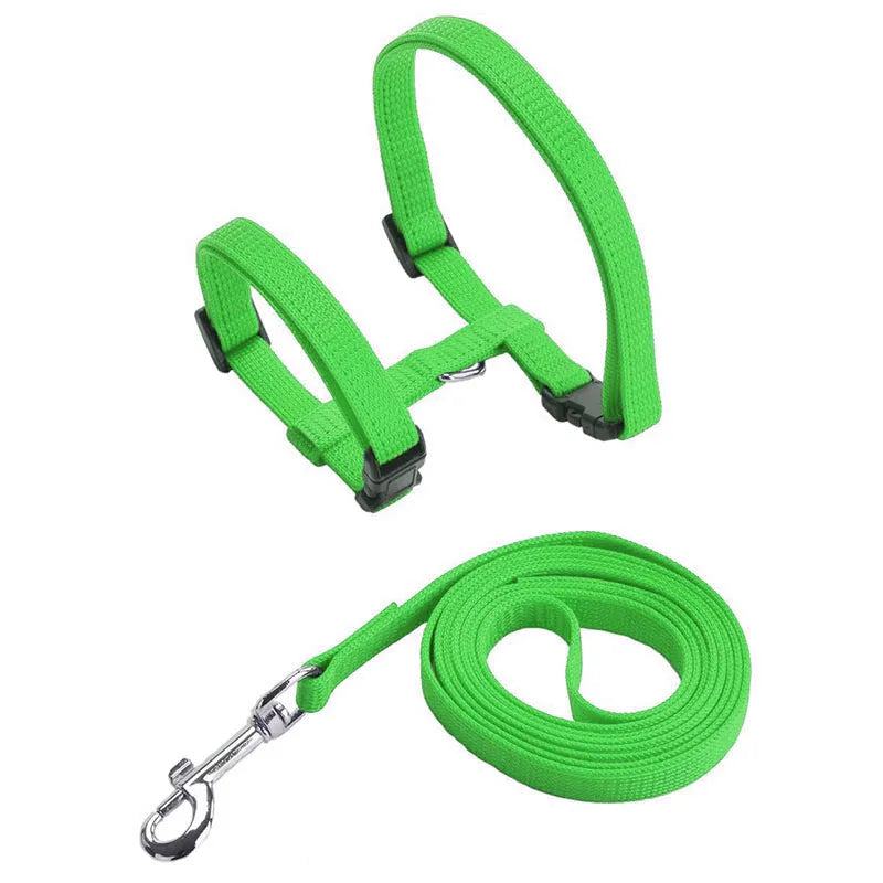 Cat Bunny Harness Set