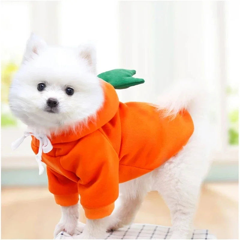 Fruit Print Fleece Hoodie — Small Dogs & Cats