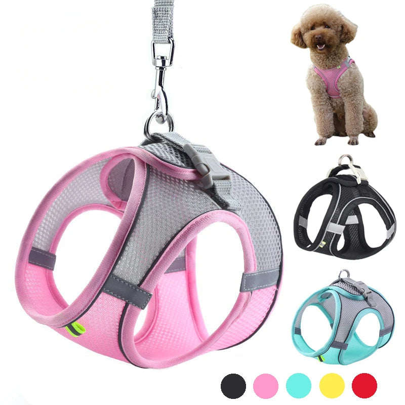 Adjustable Puppy & Cat Harness Vest Set with Leash — Perfect for Small Dogs, Chihuahuas & French Bulldogs!