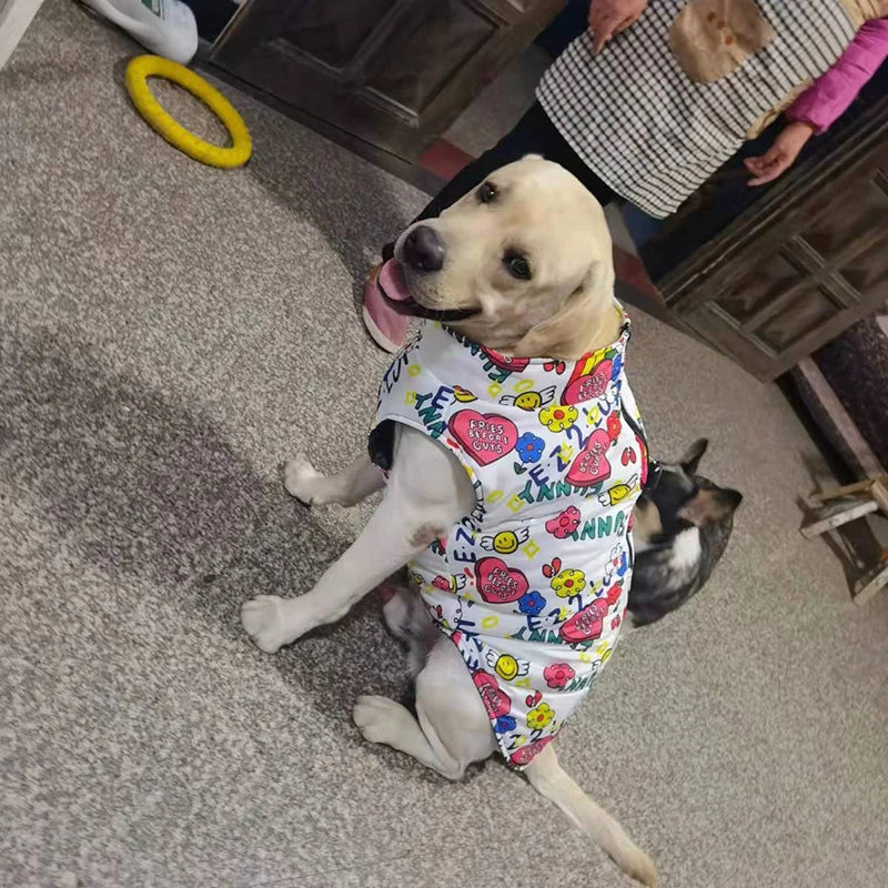 Waterproof Dog Jacket for Autumn/Winter
