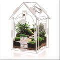 Acrylic Mini Pet Terrarium (Desk Accessory)