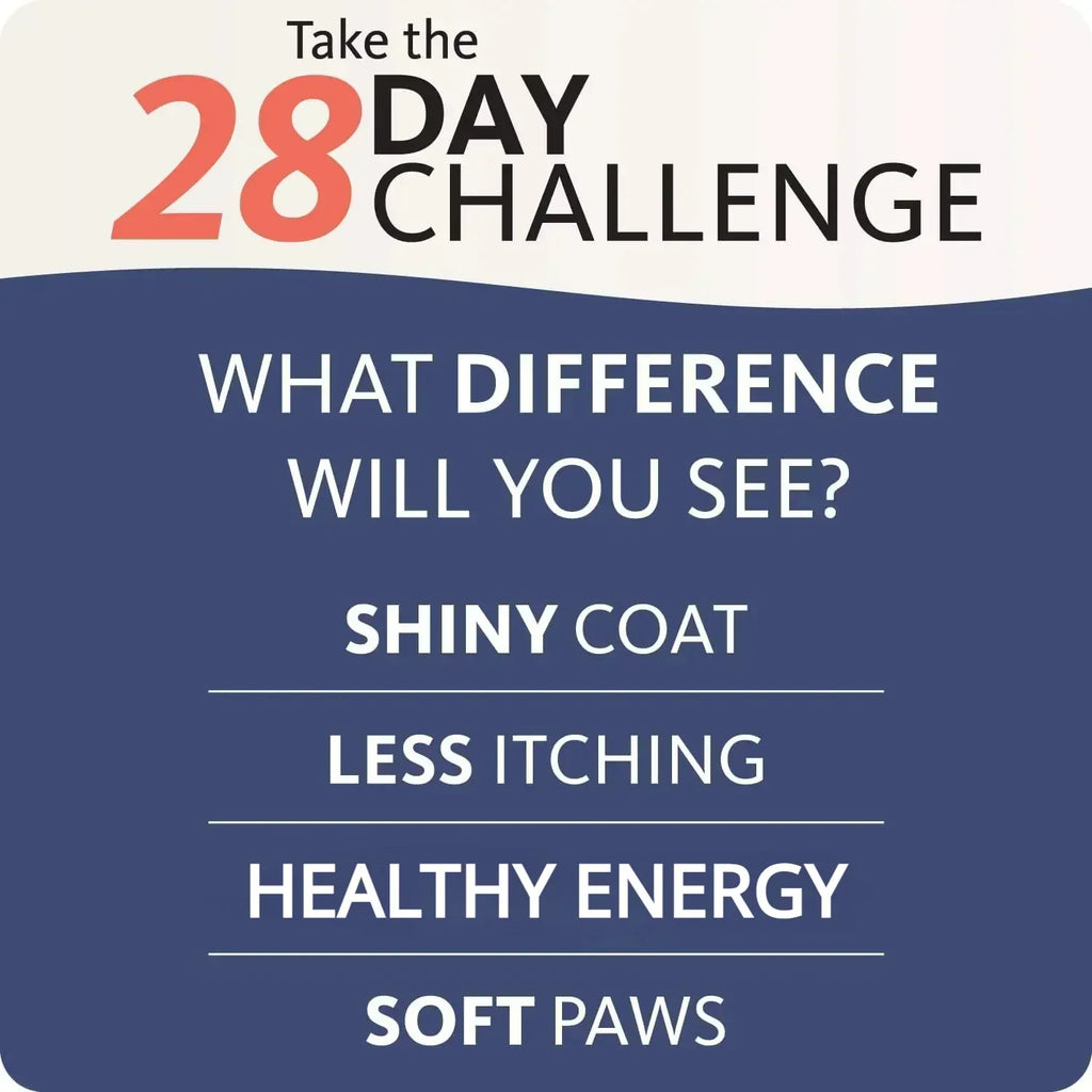 Brand 200ml Salmon Oil for Dogs
