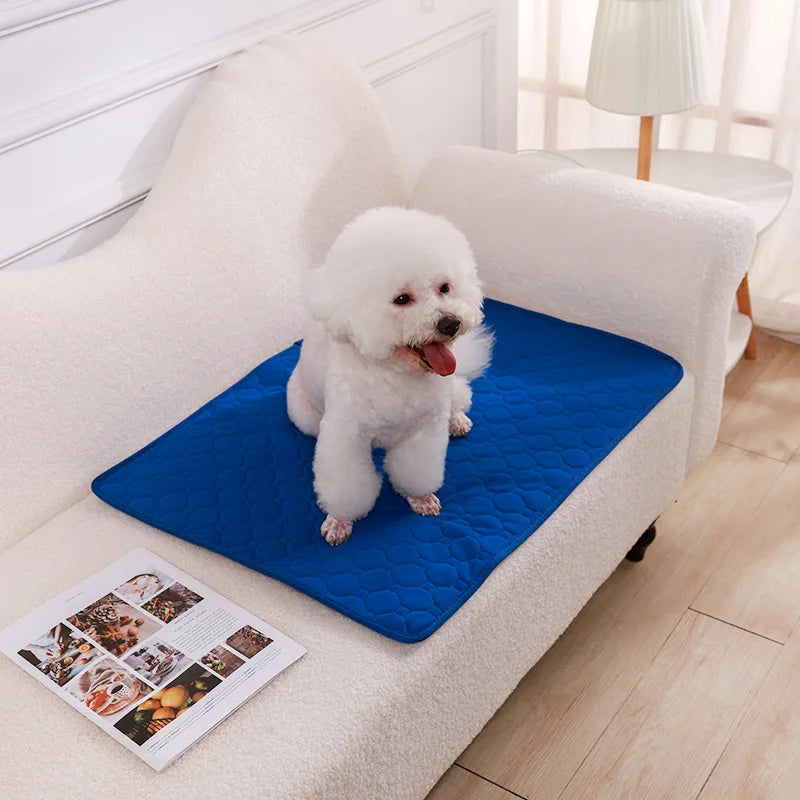 Reusable Washable Dog Pee Pad & Training Mat — Absorbent, Eco-Friendly & Multi-Use!