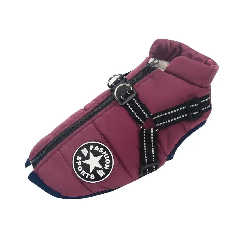 Large Dog Jacket with Harness