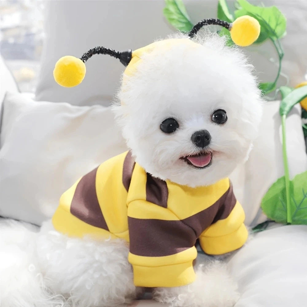 Bee Pet Puppy Coat Costume (Small/Med Dogs & Cats)