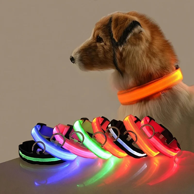 LED Glow-in-the-Dark Dog Leash — Light Up Your Night Walks in Style!
