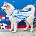Breathable Mesh Pet Football Jersey — World Cup National Team Themed T-Shirt Vest for Dogs & Cats!