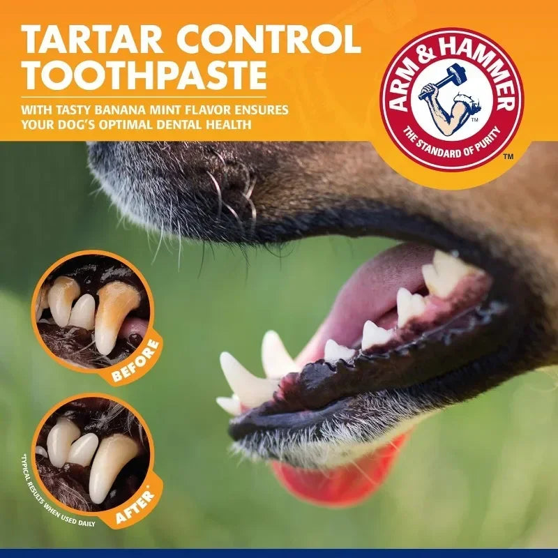 Pet Dental Care Kit for Dogs