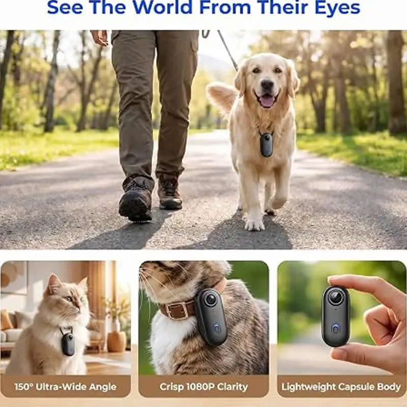 1080P HD Wireless Pet Collar Camera