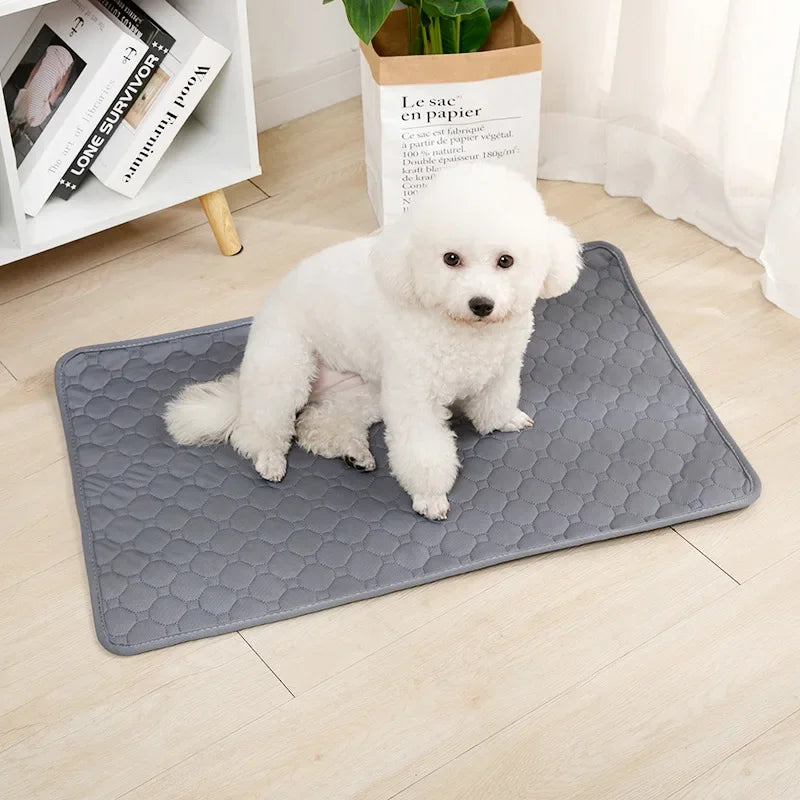 Reusable Washable Dog Pee Pad & Training Mat — Absorbent, Eco-Friendly & Multi-Use!