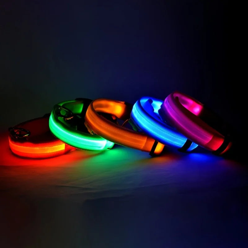 LED Glow-in-the-Dark Dog Leash — Light Up Your Night Walks in Style!