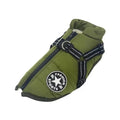 Large Dog Jacket with Harness