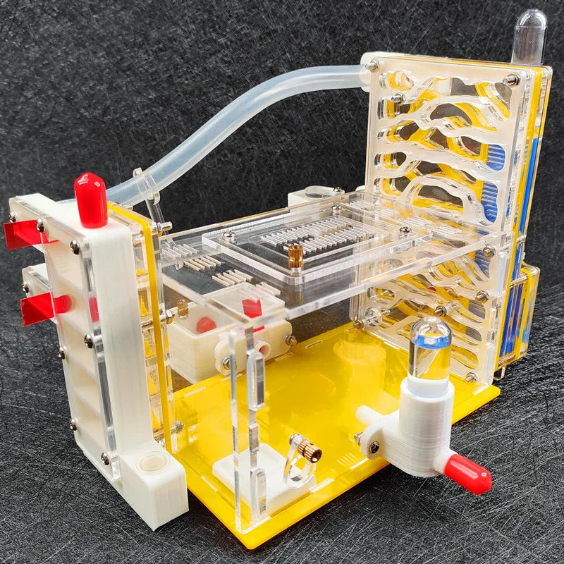 T Design DIY Ant Farm with Feeding Area