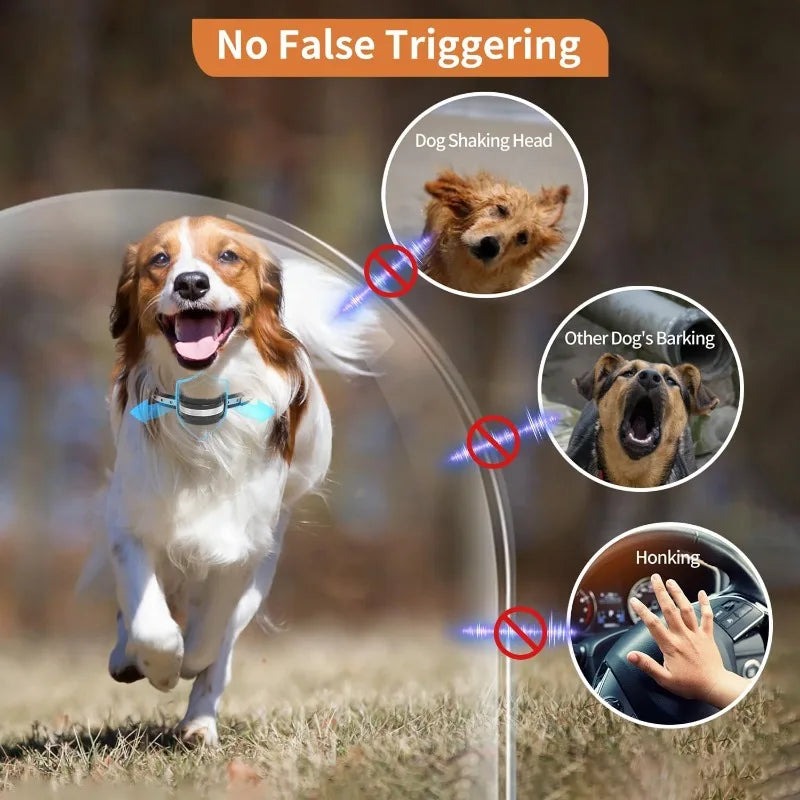 2-Pack Dog Anti Bark Collar