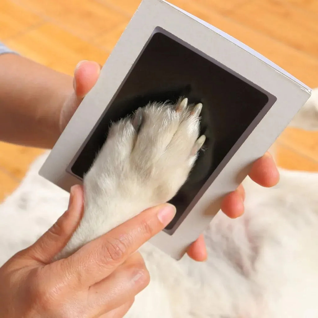 Inkless Paw Print Keepsake Kit