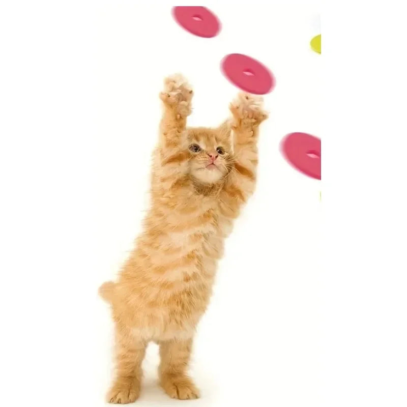 Funny Cat Toys: Turnip Gun with 15 Foam Frisbees