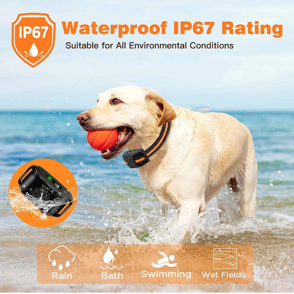 Waterproof Remote Dog Training Collar