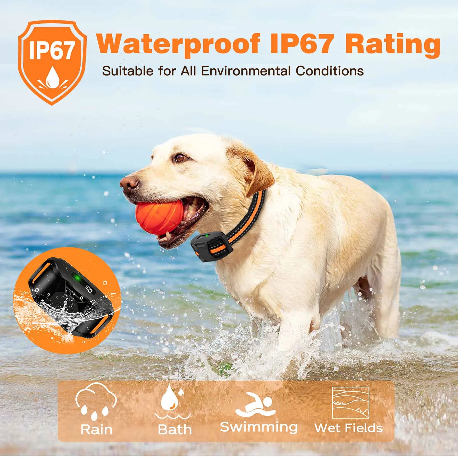 Electric Dog Training Collar with Remote — 3300Ft Range, Waterproof & Safe for 5-120lb Dogs!
