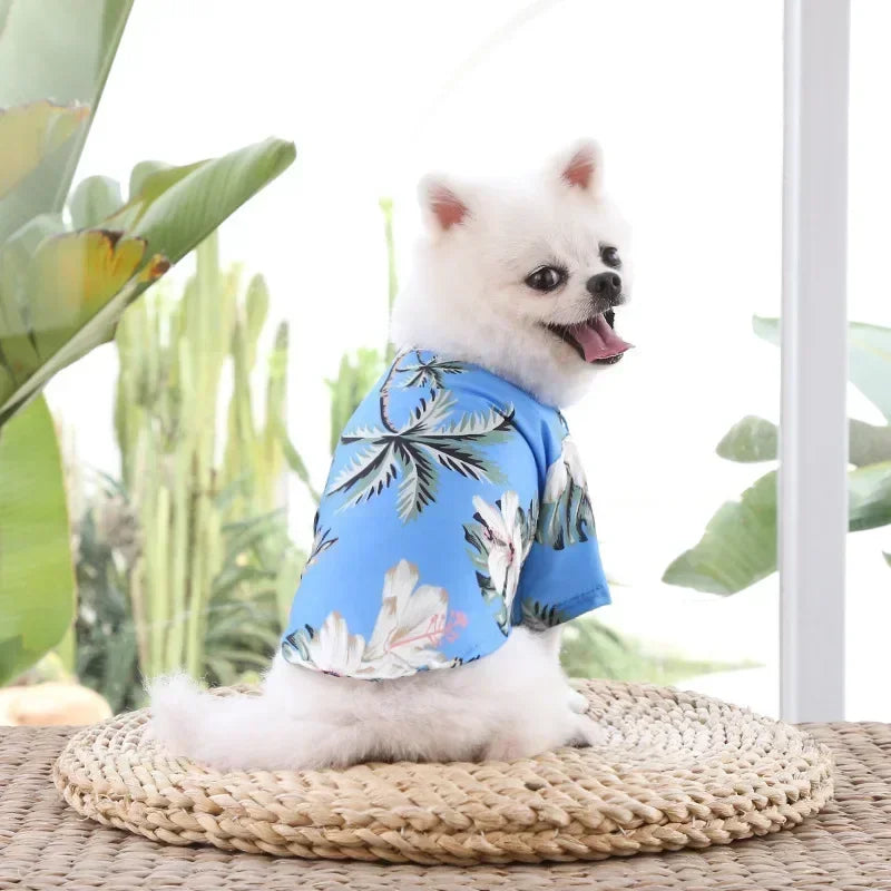 Hawaiian Style Chiffon Dog Shirt