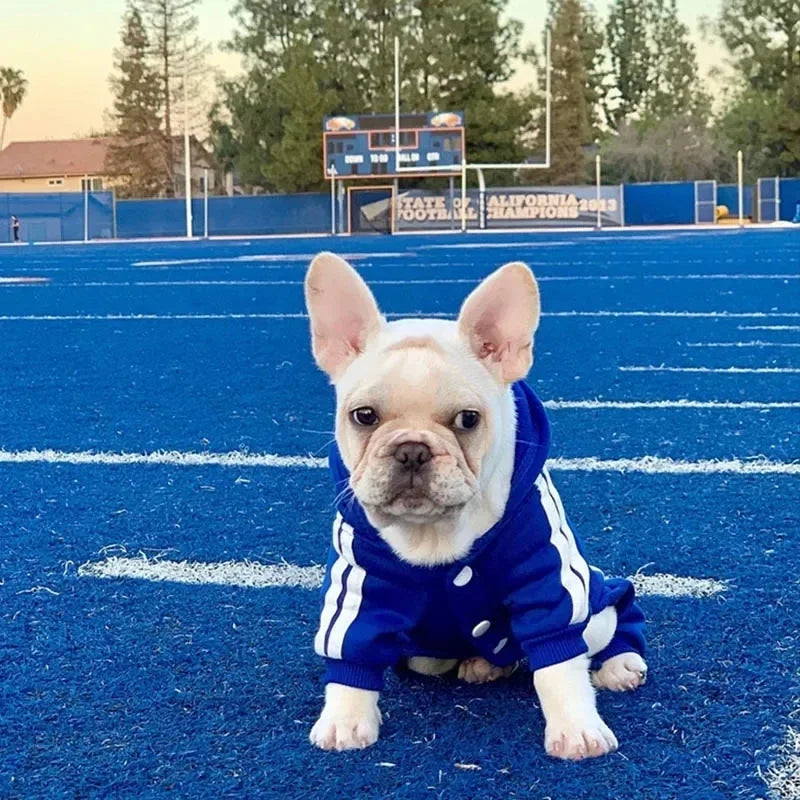 Pet Clothes Jumpsuit for Small Dogs