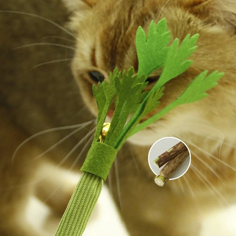 Catnip Molar Stick with Bell — Interactive Self-Play Chew Toy for Cats & Kittens!
