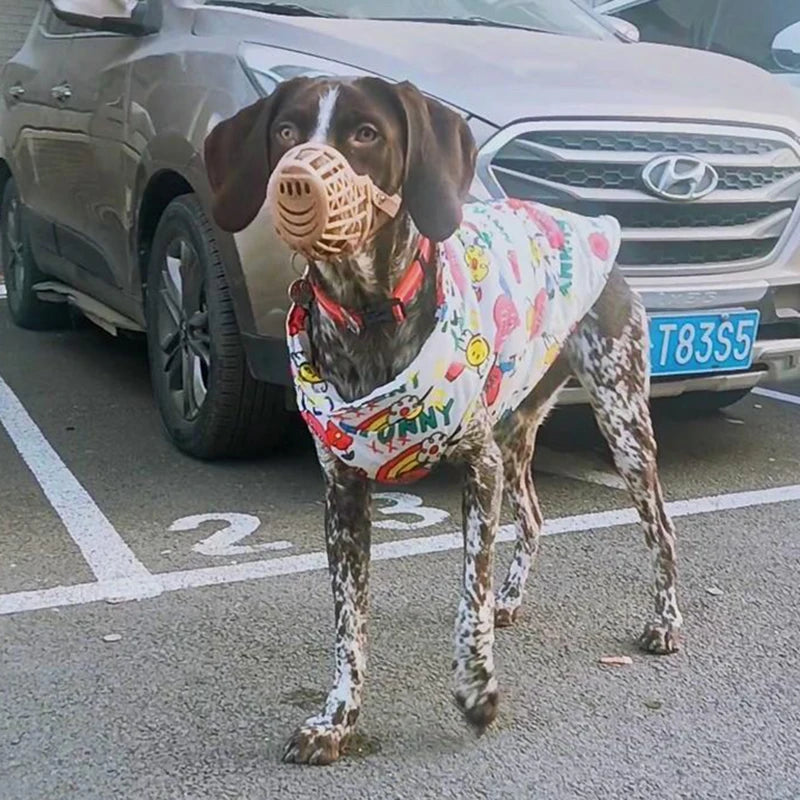 Waterproof Dog Jacket for Autumn/Winter