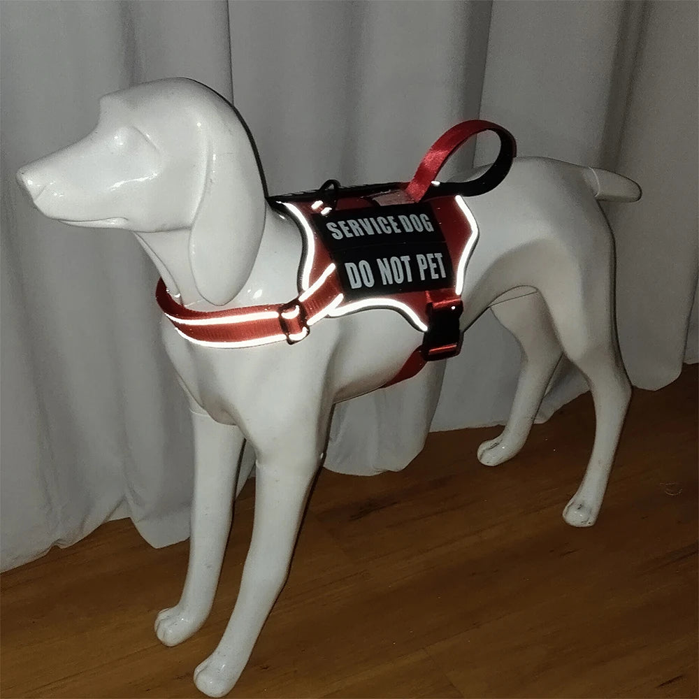 Nlyon No Pull Dog Harness with Patches