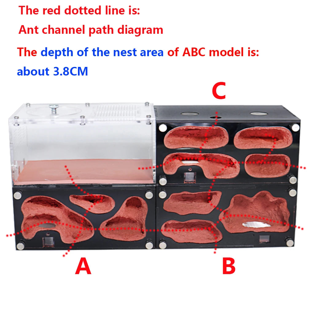 Infinitely Expandable Concrete Ant Nest