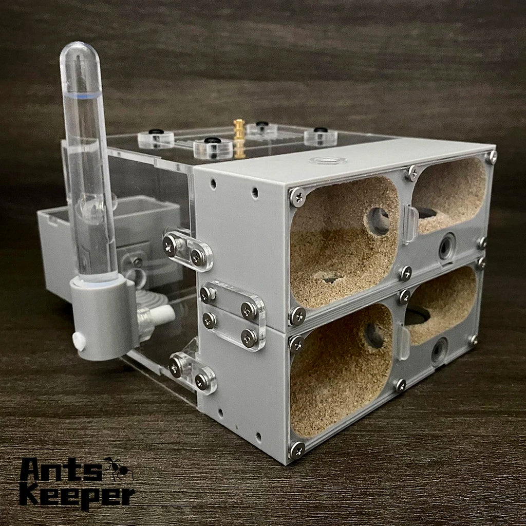 Valley Ant Nest Habitat — Modular Formicarium for Myrmecocystus & Most Ant Species!