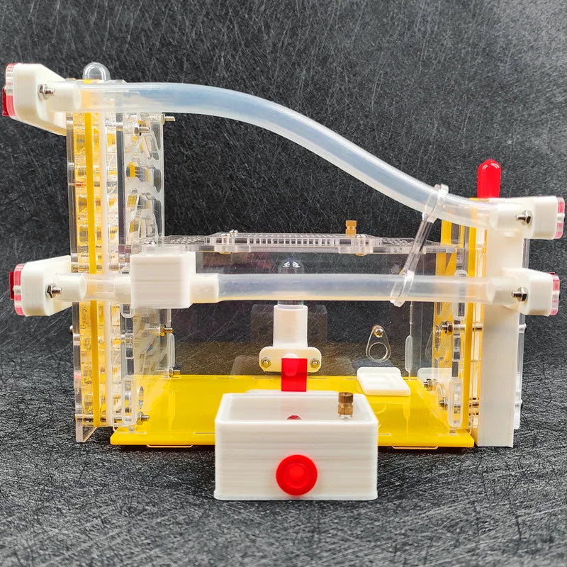T Design DIY Ant Farm with Feeding Area
