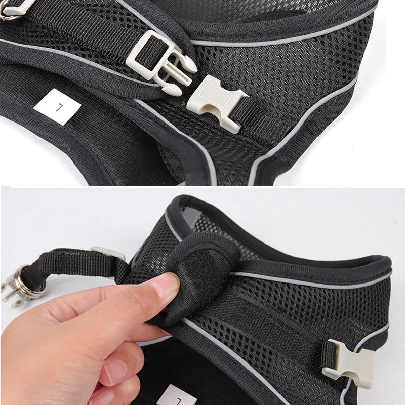 Adjustable Puppy & Cat Harness Vest Set with Leash — Perfect for Small Dogs, Chihuahuas & French Bulldogs!