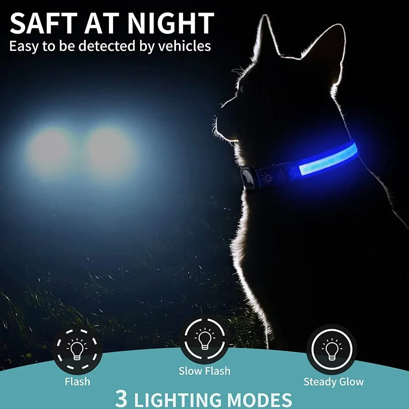 Apple AirTag LED Dog Collar by The Paw Prime