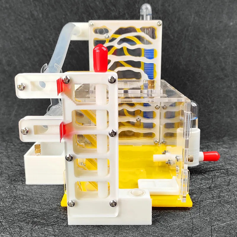 T Design DIY Ant Farm with Feeding Area