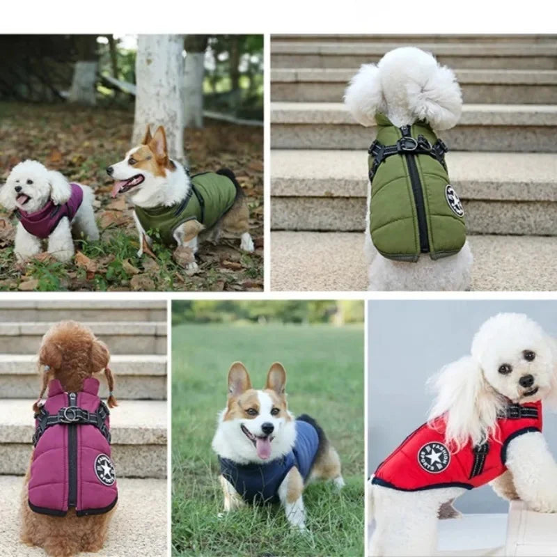 Large Dog Jacket with Harness
