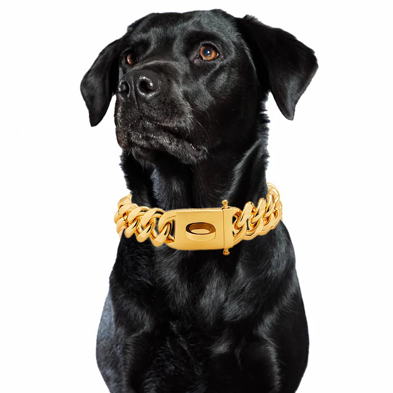 Gold Stainless Steel Dog Collar 19mm Wide