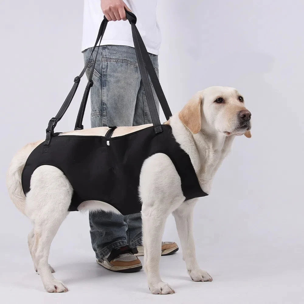 Adjustable Dog Lift Harness with Handle