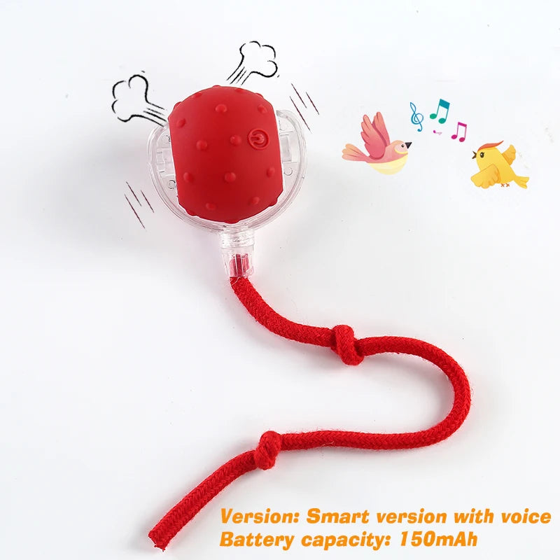 Rechargeable Interactive Dog Ball Toy — Auto-Rolling Fun for Bored Pups!