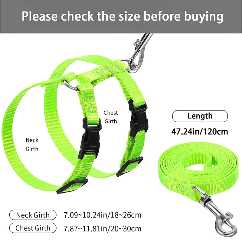 Cat Bunny Harness Set