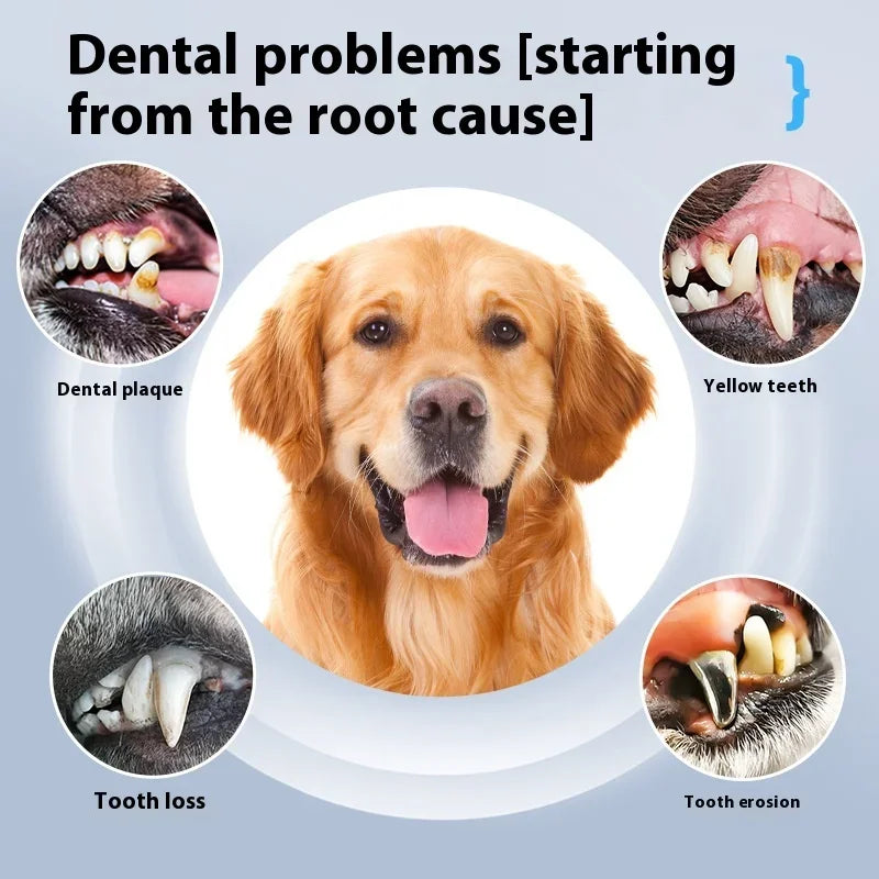 Dog & Cat Ultrasonic Dental Scaler & Cleaner