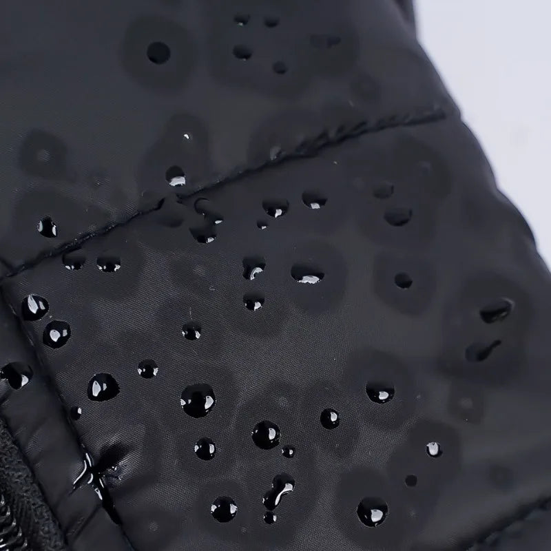 Waterproof Dog Coat with Warm Padding