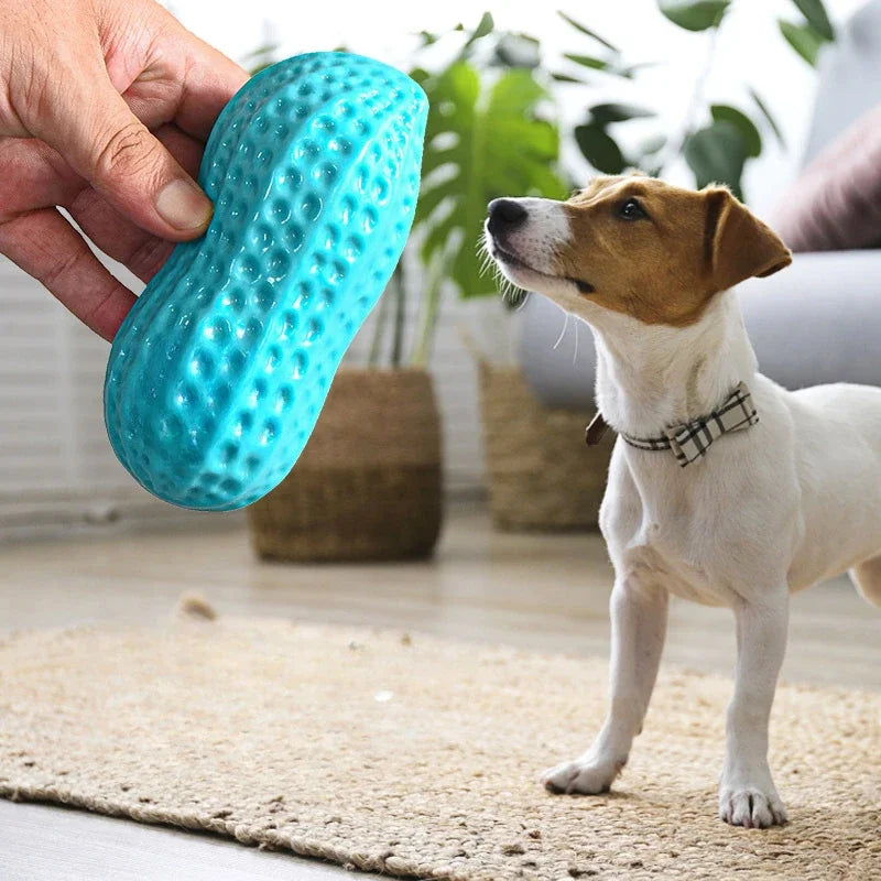 Pet Peanut Toy - TPR Chew for Dogs