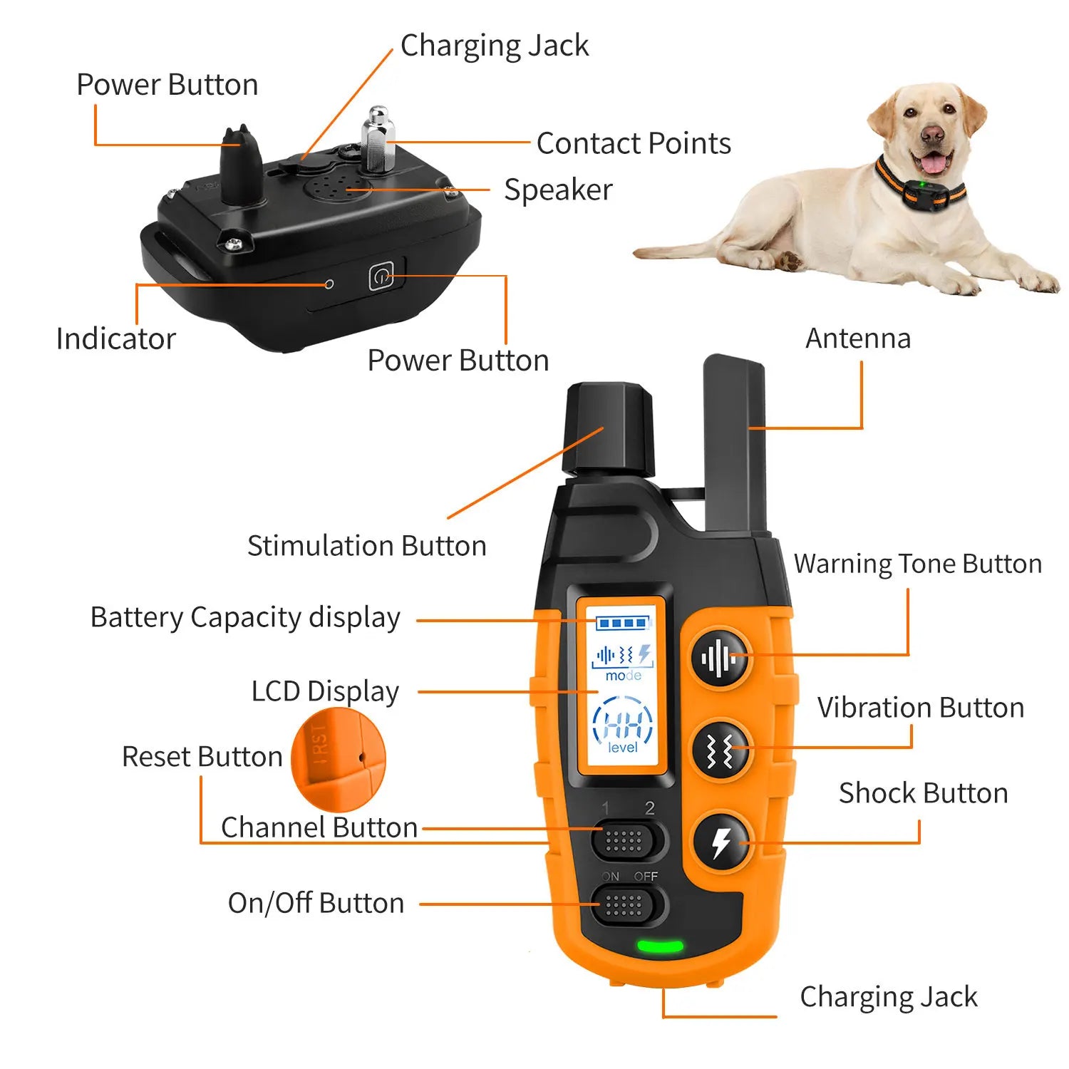 Waterproof Remote Dog Training Collar