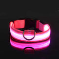 LED Glow-in-the-Dark Dog Leash — Light Up Your Night Walks in Style!