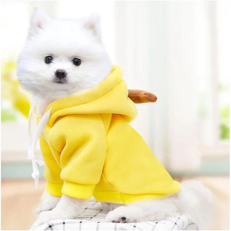 Fruit Print Fleece Hoodie — Small Dogs & Cats
