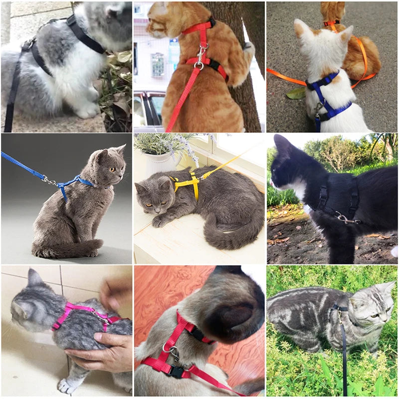 Cat Bunny Harness Set