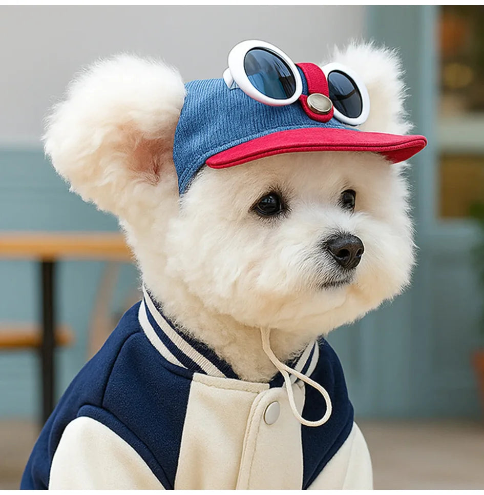 Two-Piece Pet Sun Hat & Sunglasses Set