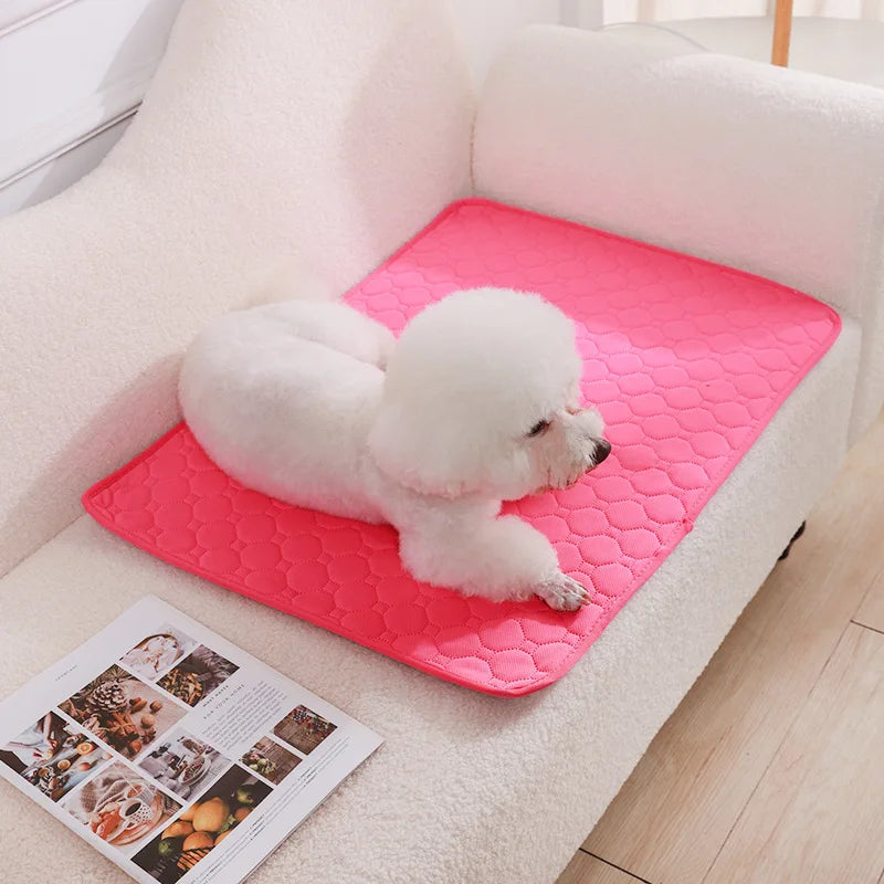 Reusable Washable Dog Pee Pad & Training Mat — Absorbent, Eco-Friendly & Multi-Use!