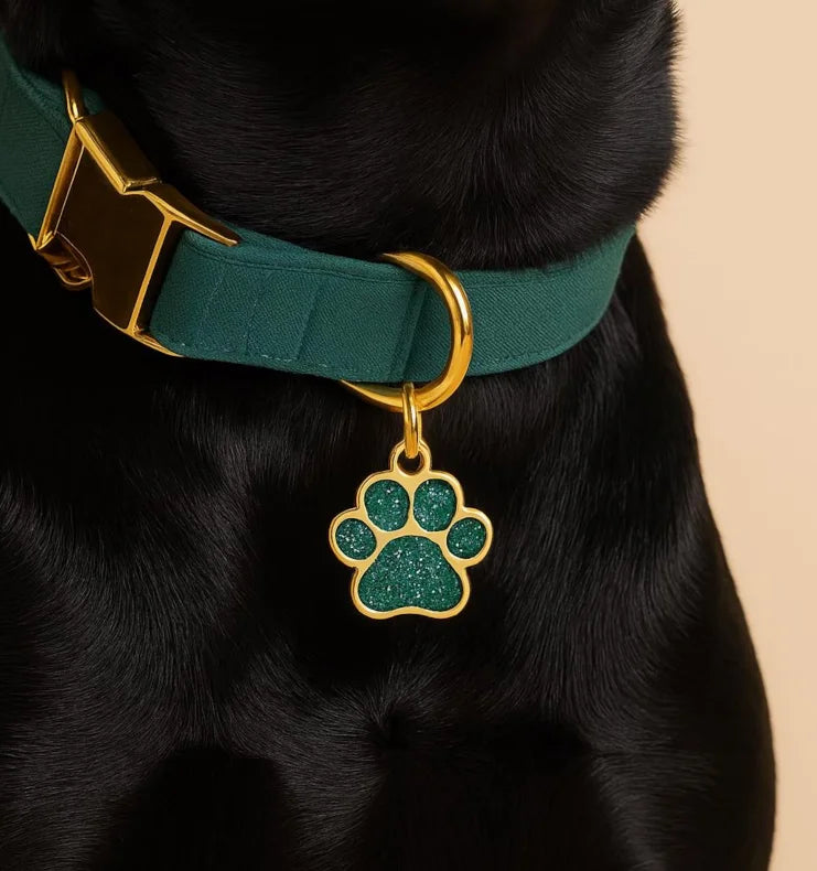 Pet ID Tags - Paw Glitter 1 Pack (Name + Phone)