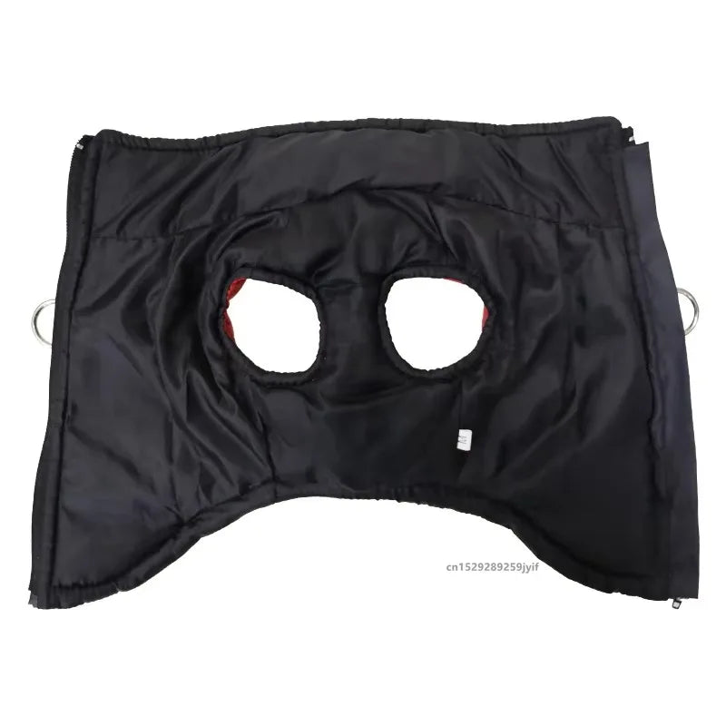 Waterproof Dog Coat with Warm Padding