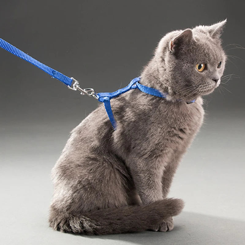 Cat Bunny Harness Set